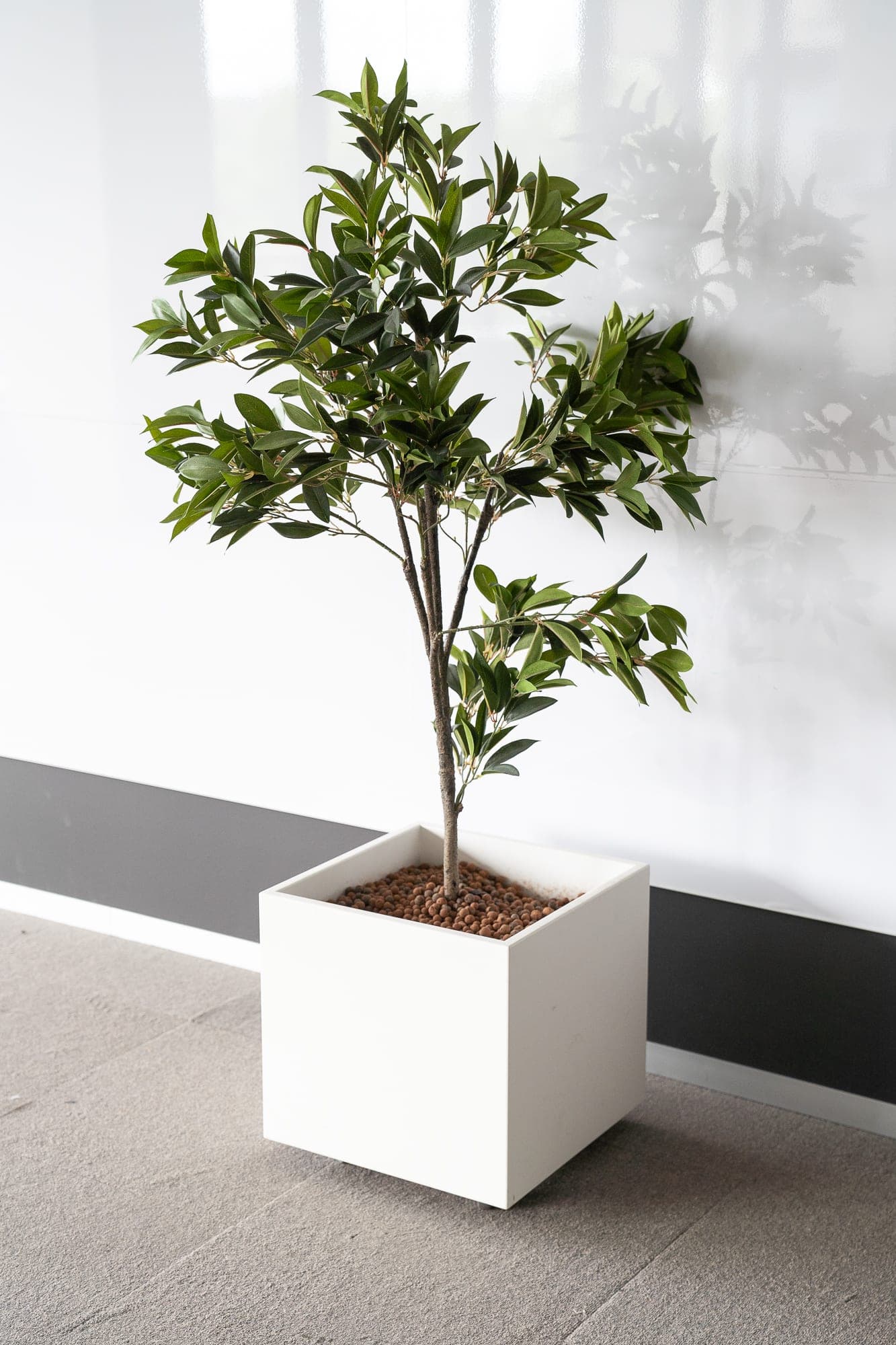 Square planter - shrub-1