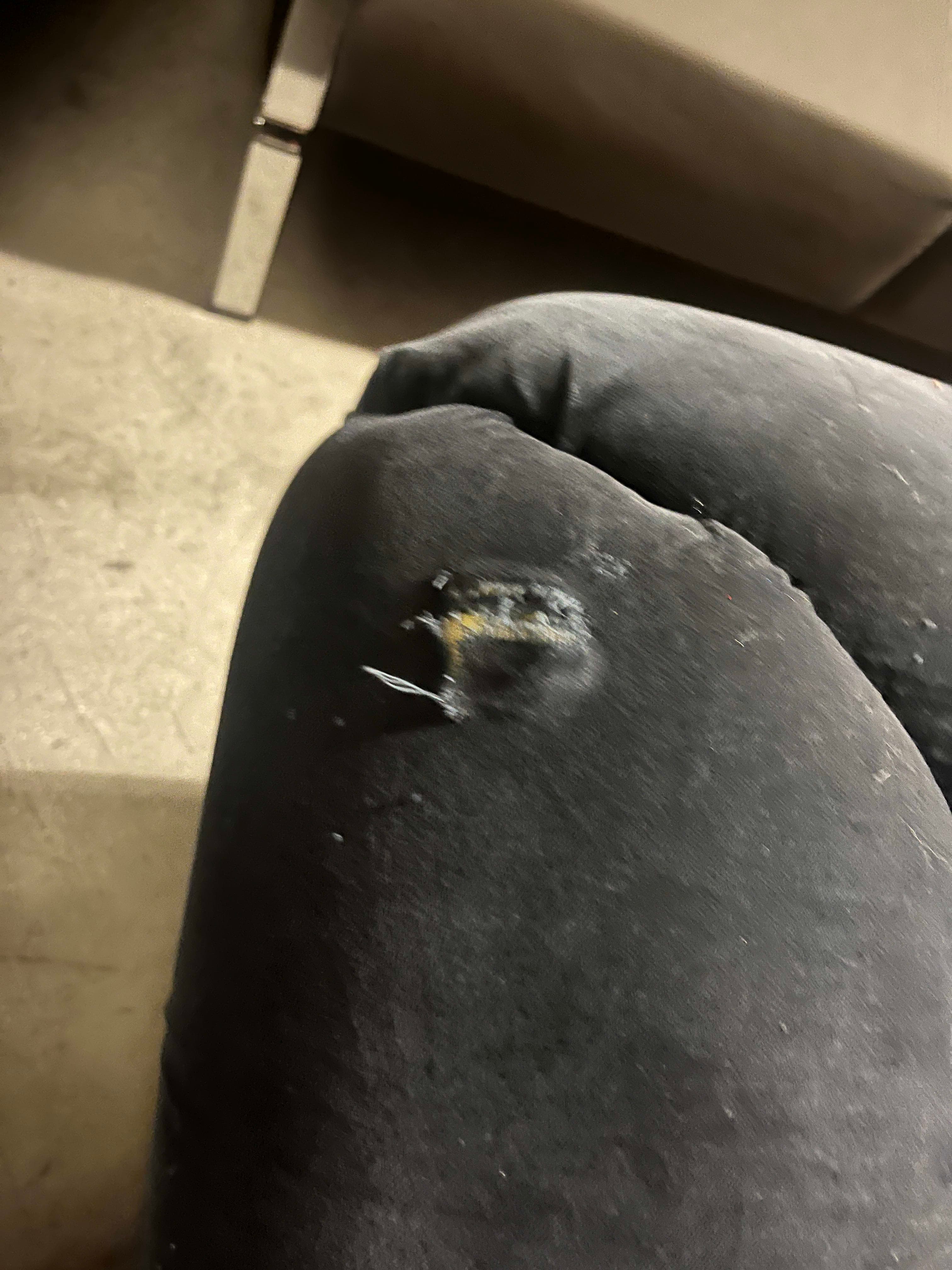 WORN : Blue navy velvet sofa with some damage on the armrest-4