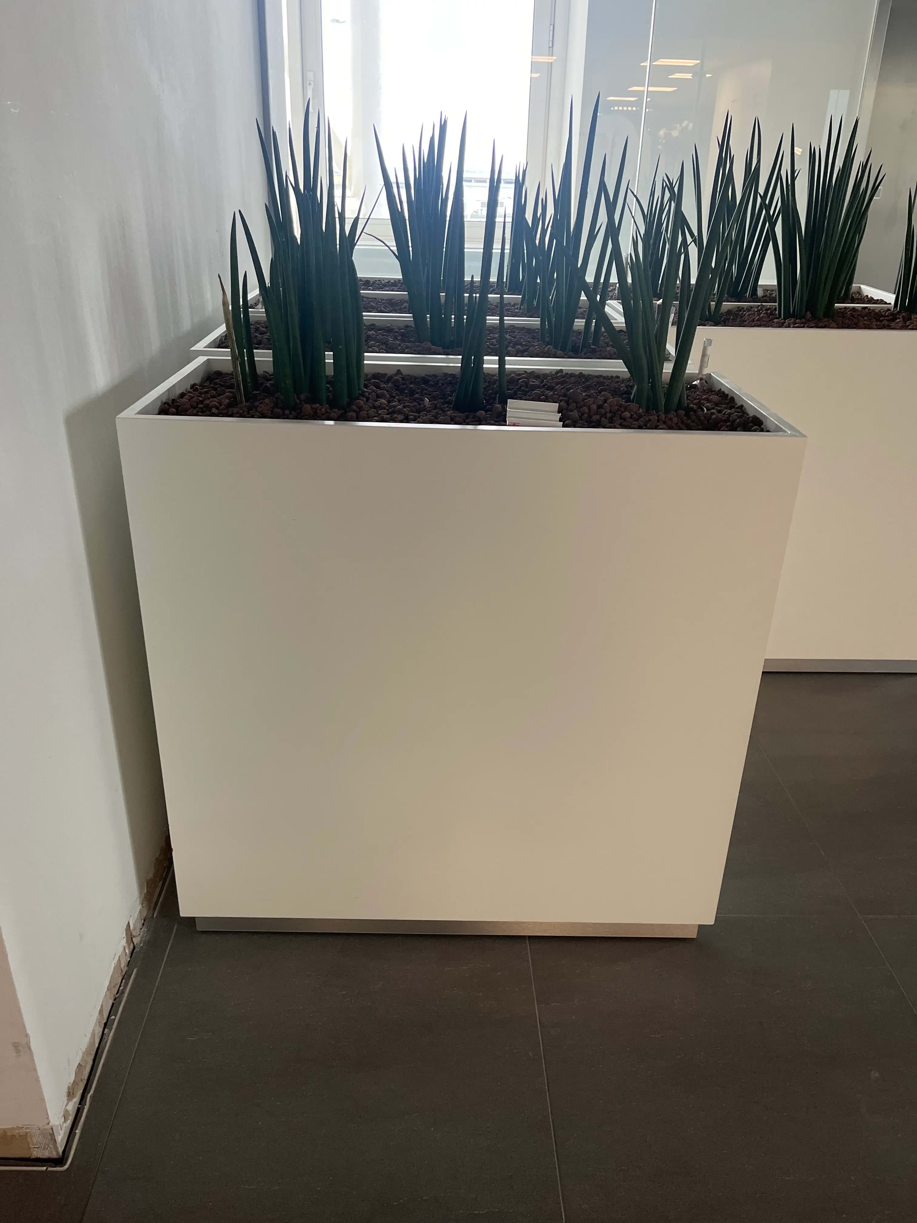 White Metal Planter Box with Modern Design-0