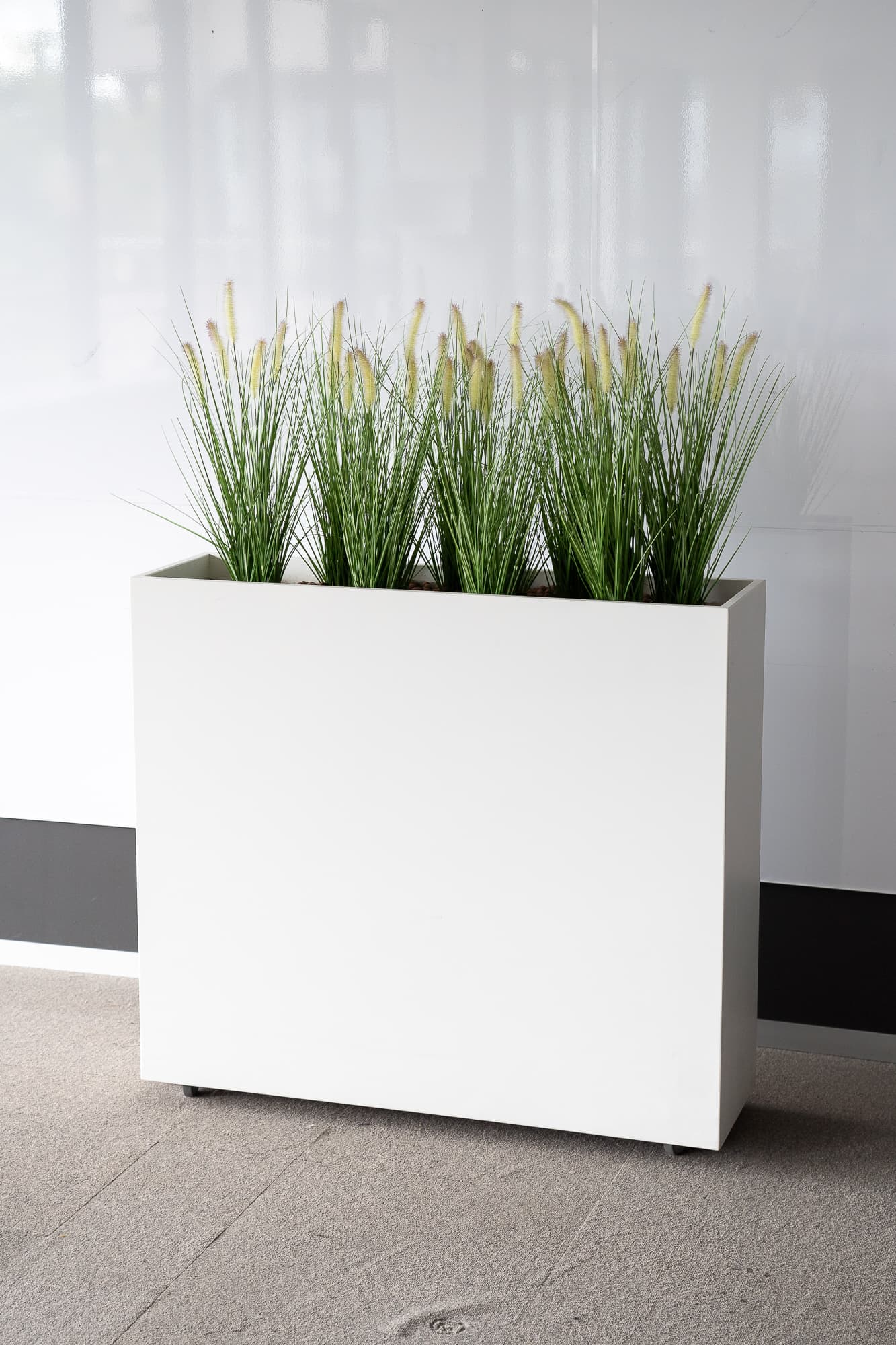 Grand bac - Fausses herbes hautes-1