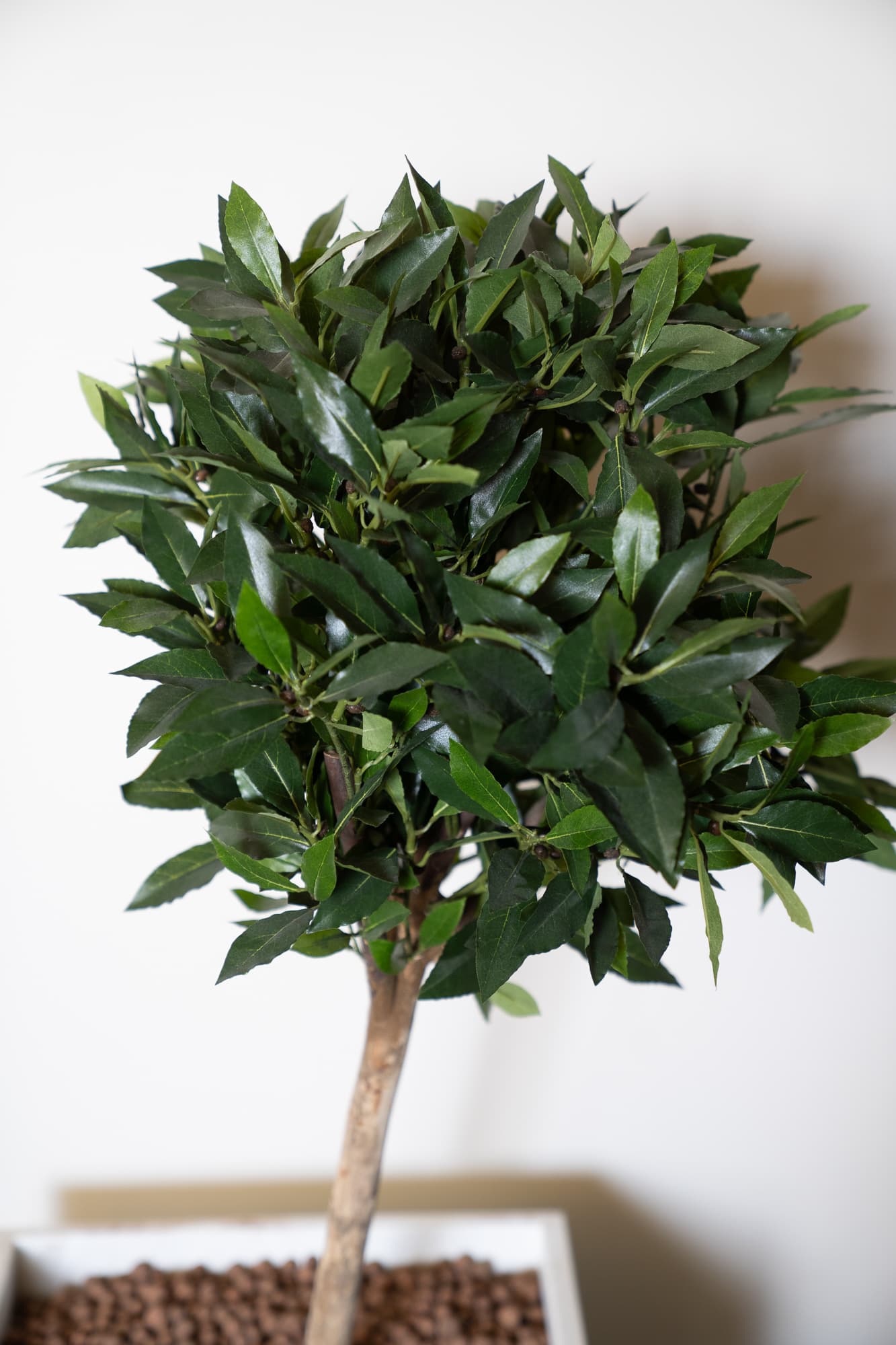 Jardinière carrée - petit faux arbre-1