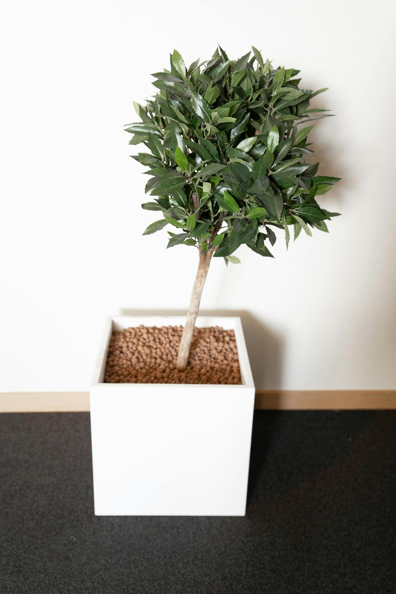 Bac carré de plante - petit arbre - Qualité de seconde main "Divers" - Relieve Furniture