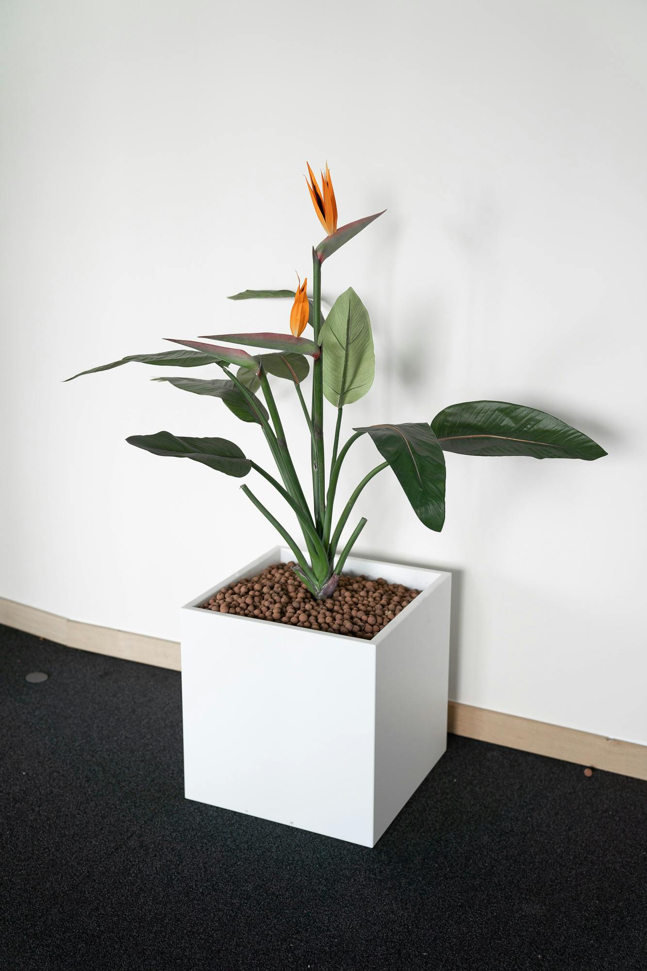 Bac carré de plante - Fleur orange - Qualité de seconde main "Divers" - Relieve Furniture