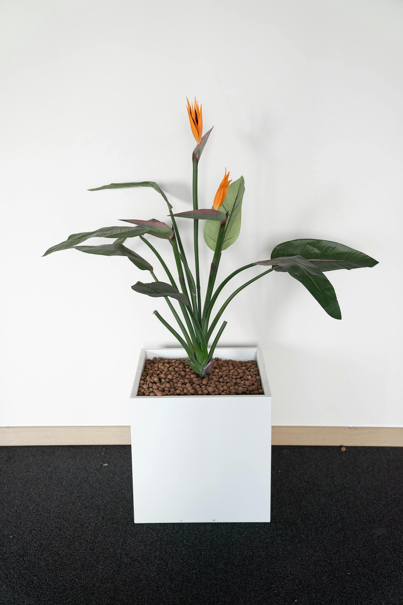 Vierkante plantenbak - Fleur oranje - Tweedehands kwaliteit "Diverse" - Relieve Furniture - 1
