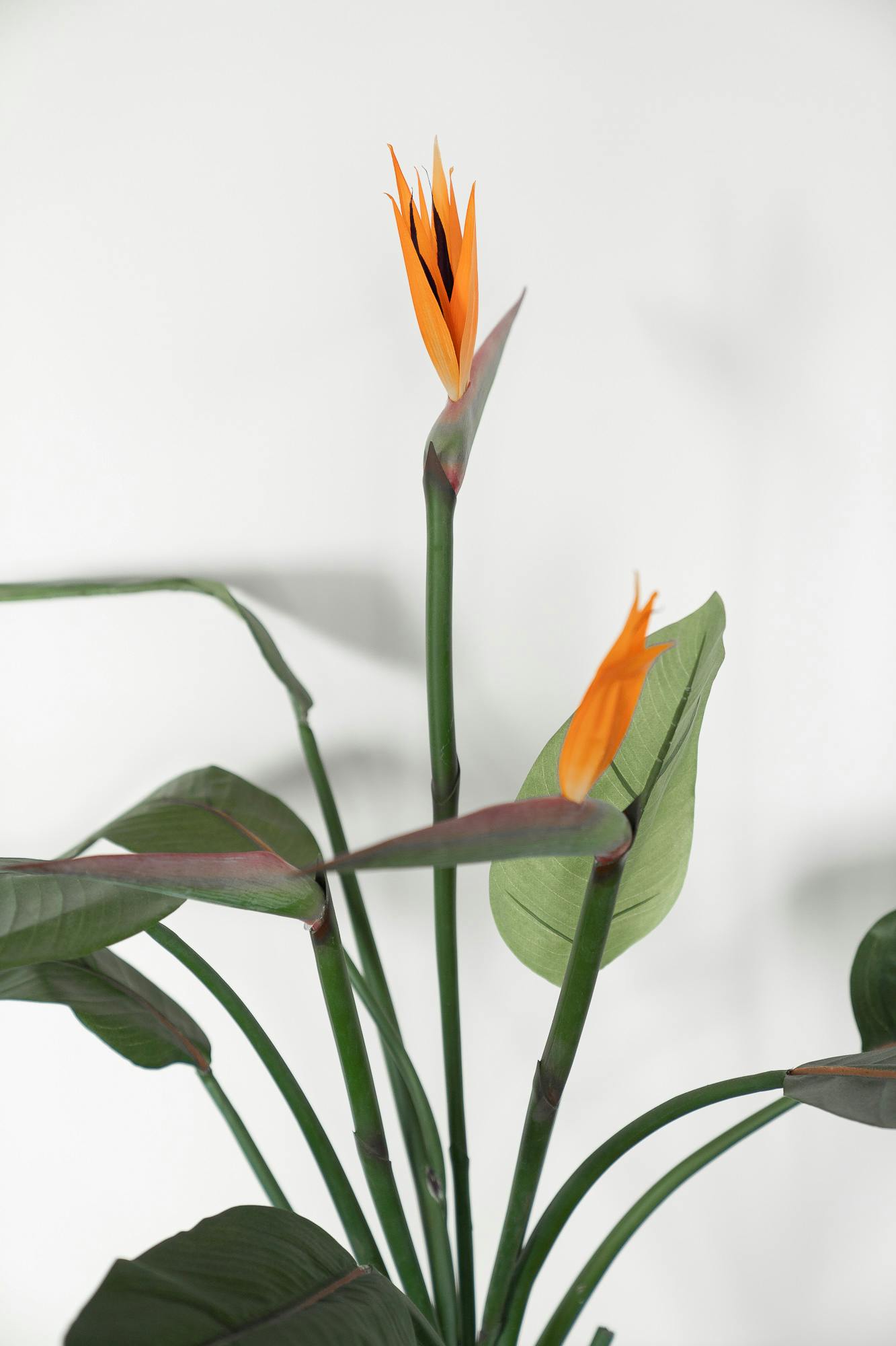 Bac carré de plante - Fleur orange - Qualité de seconde main "Divers" - Relieve Furniture