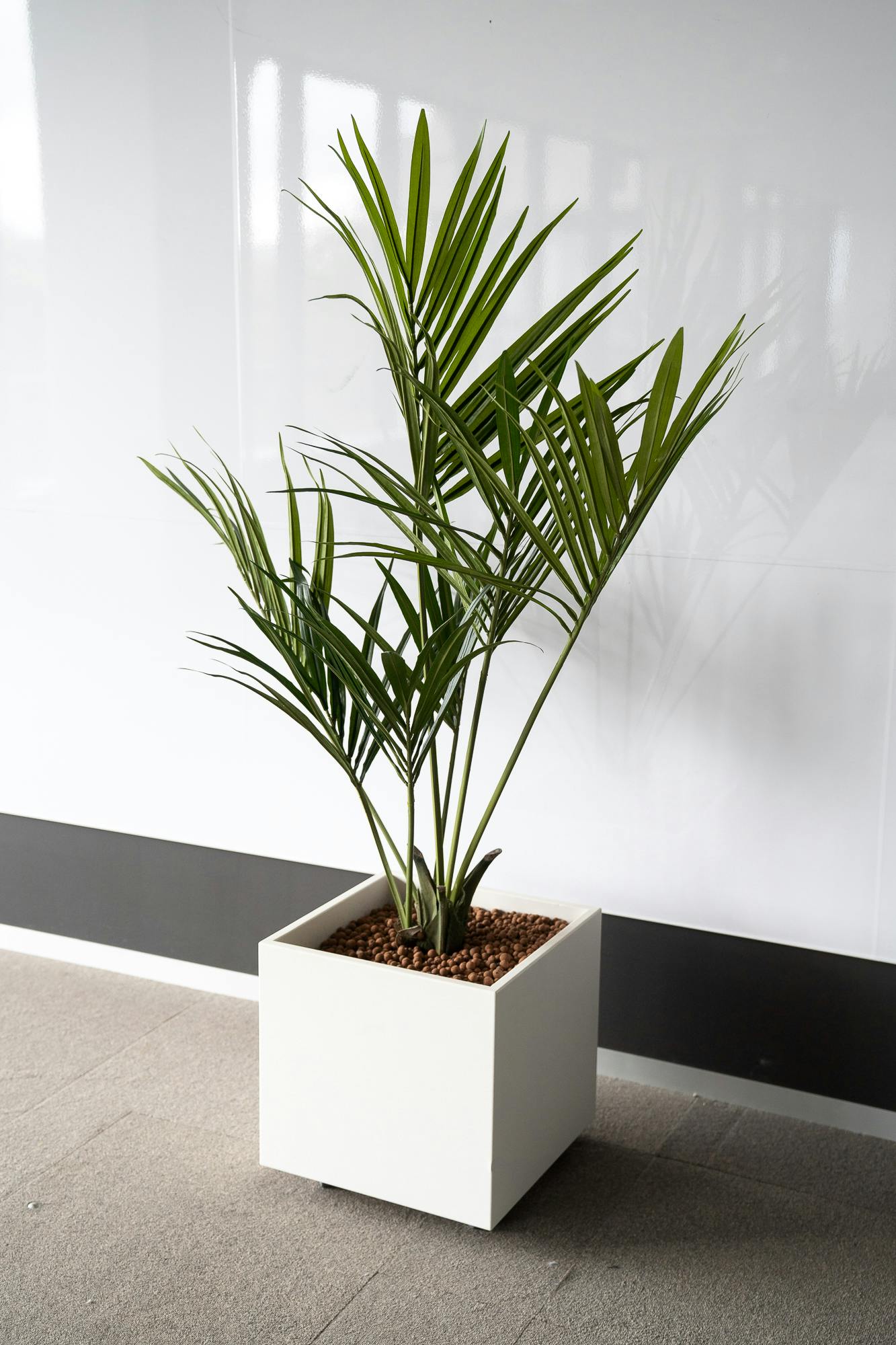 Square planter - Palm trees - Second hand quality "Miscellaneous" - Relieve Furniture