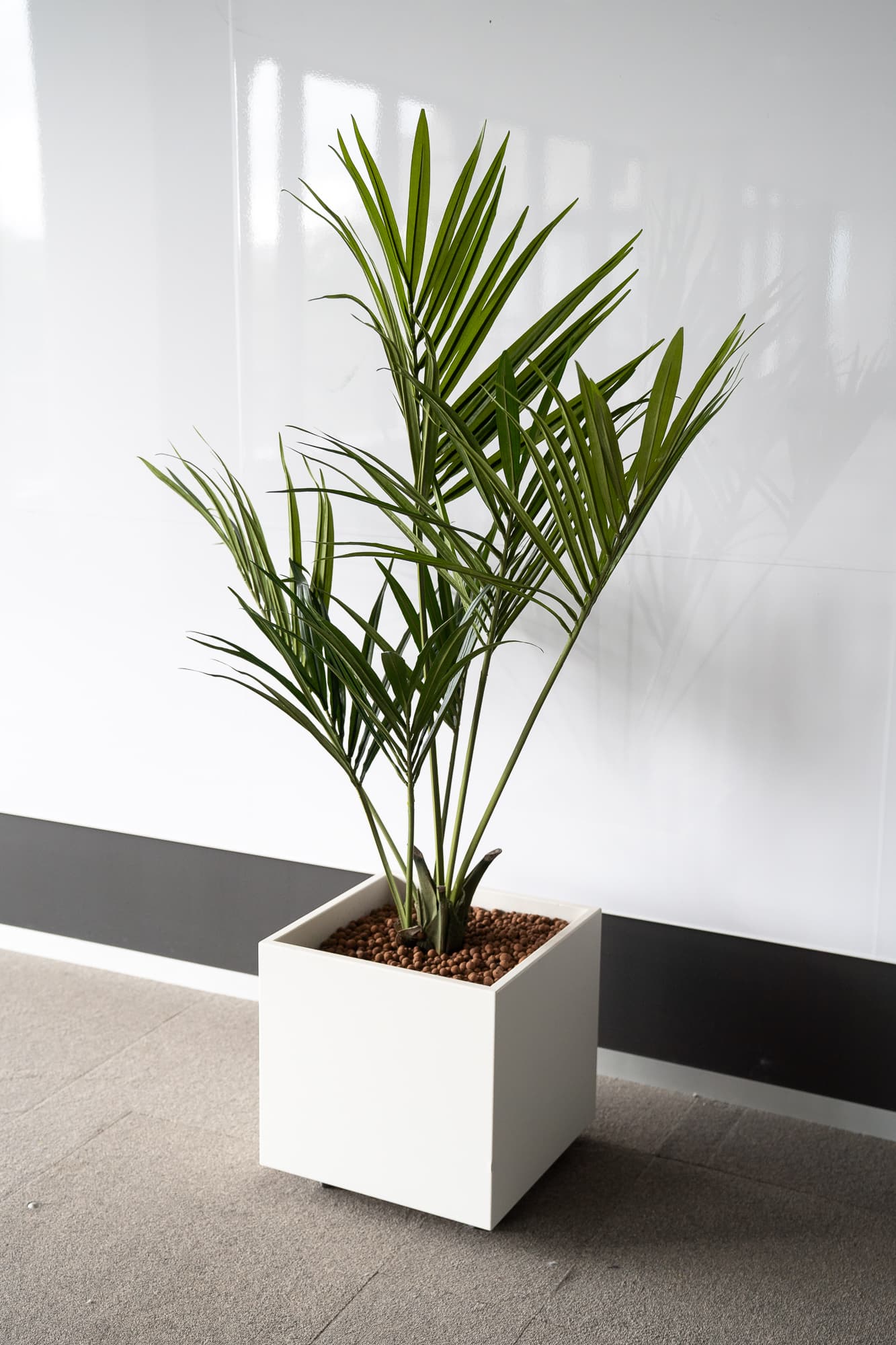 Square planter - Palm trees-1