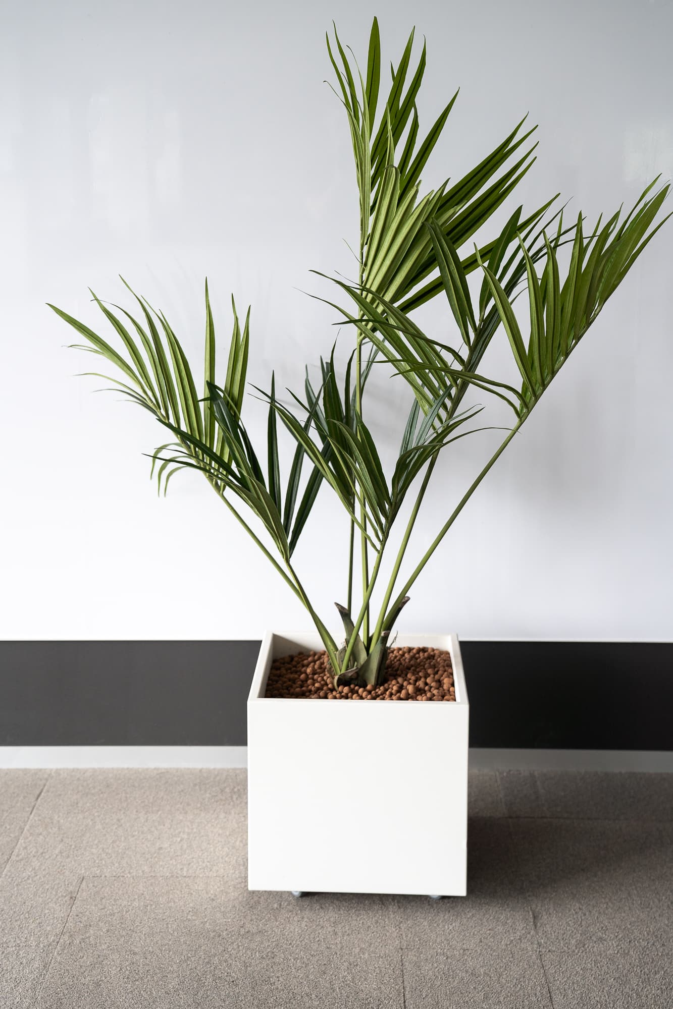 Square planter - Palm trees-0