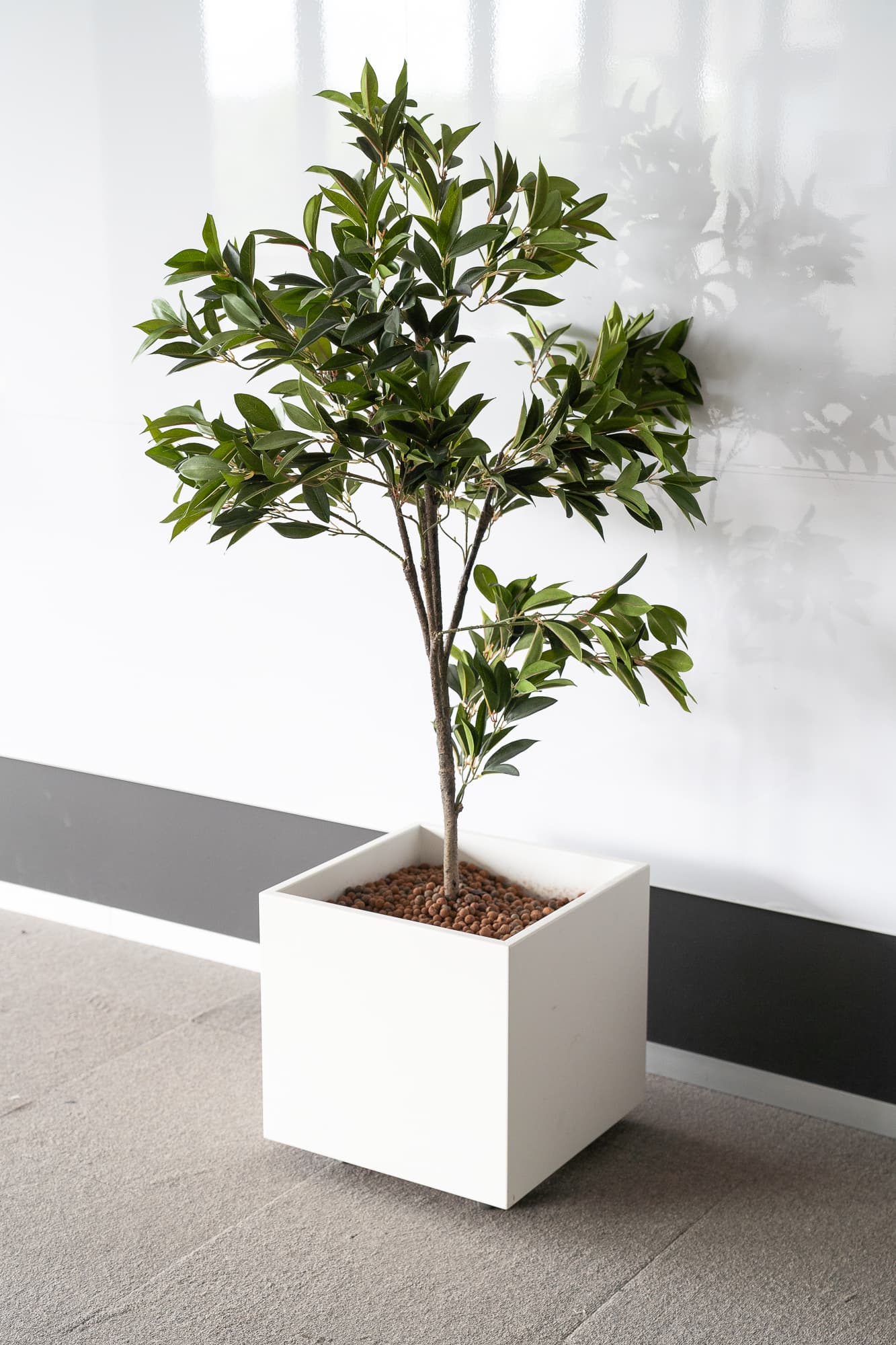 Vierkante plantenbak - struik-1