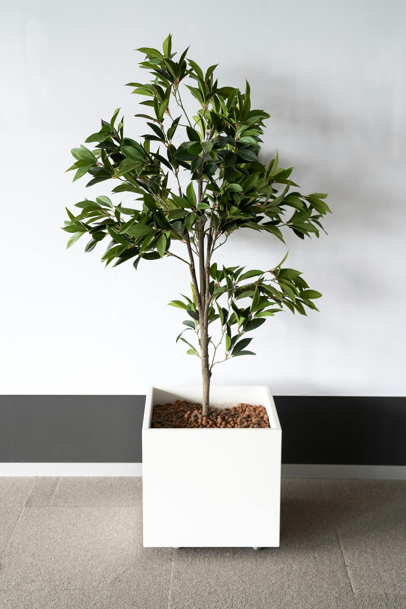 Square planter - shrub - Second hand quality "Miscellaneous" - Relieve Furniture