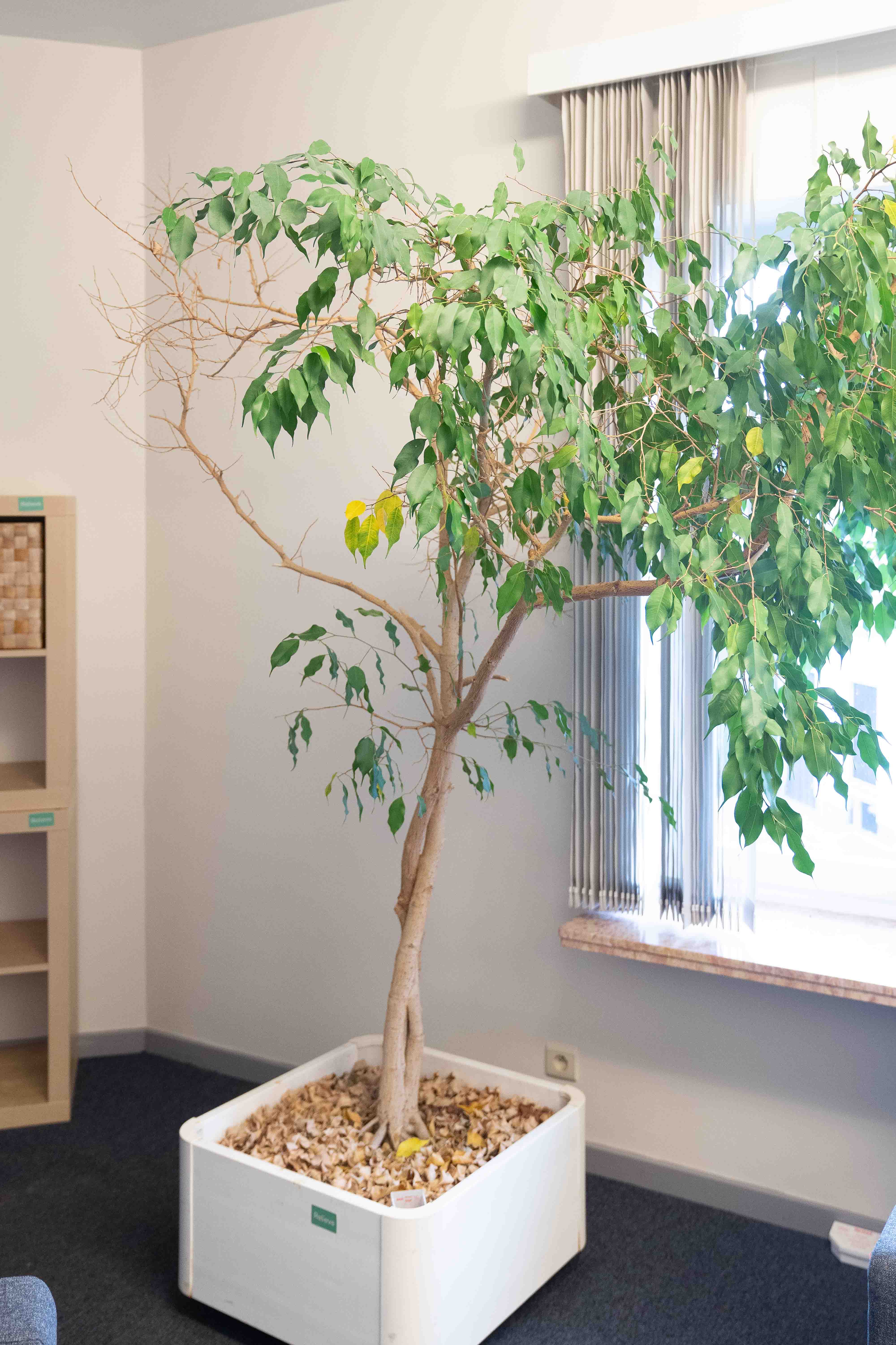 Usine de bureaux de grande hauteur-1