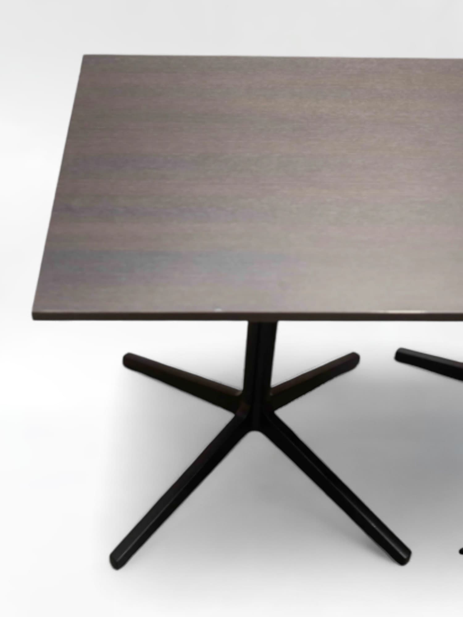 Pedrali Ypsilon poten tafel met dubbel onderstel-2
