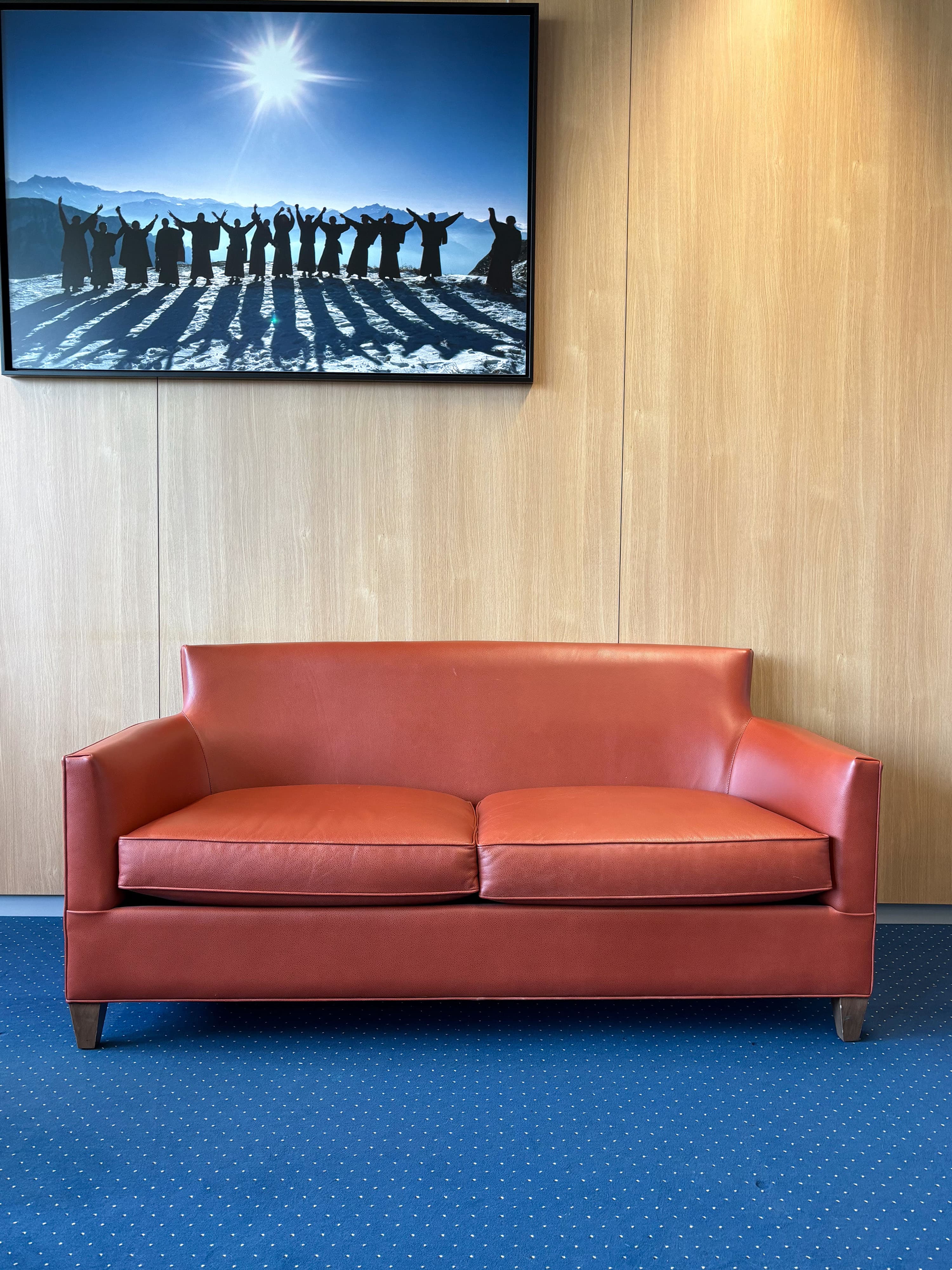 Orange Leather Sofa with Streamlined Modern Design-3