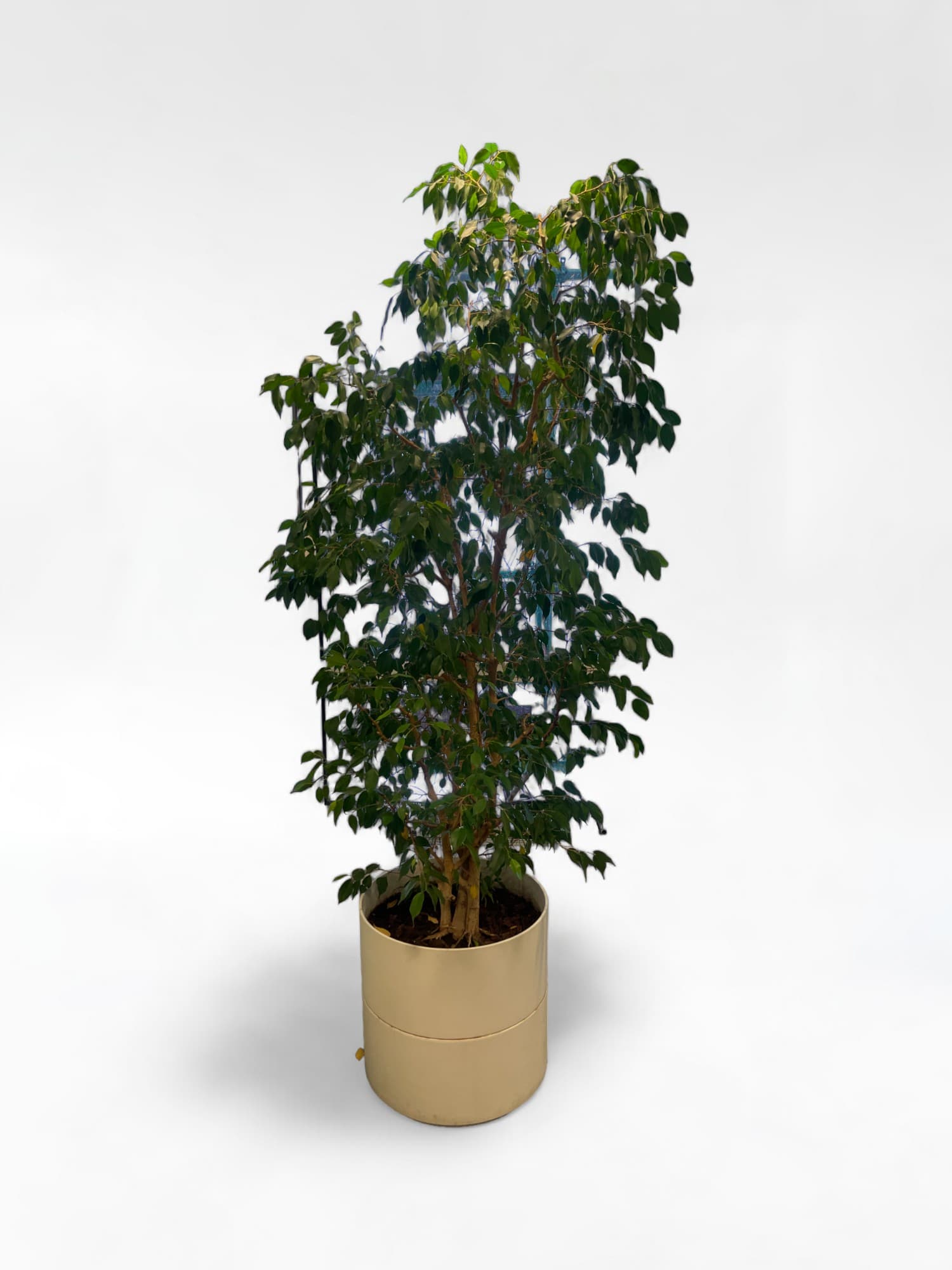 White Plastic Planter Pot-0