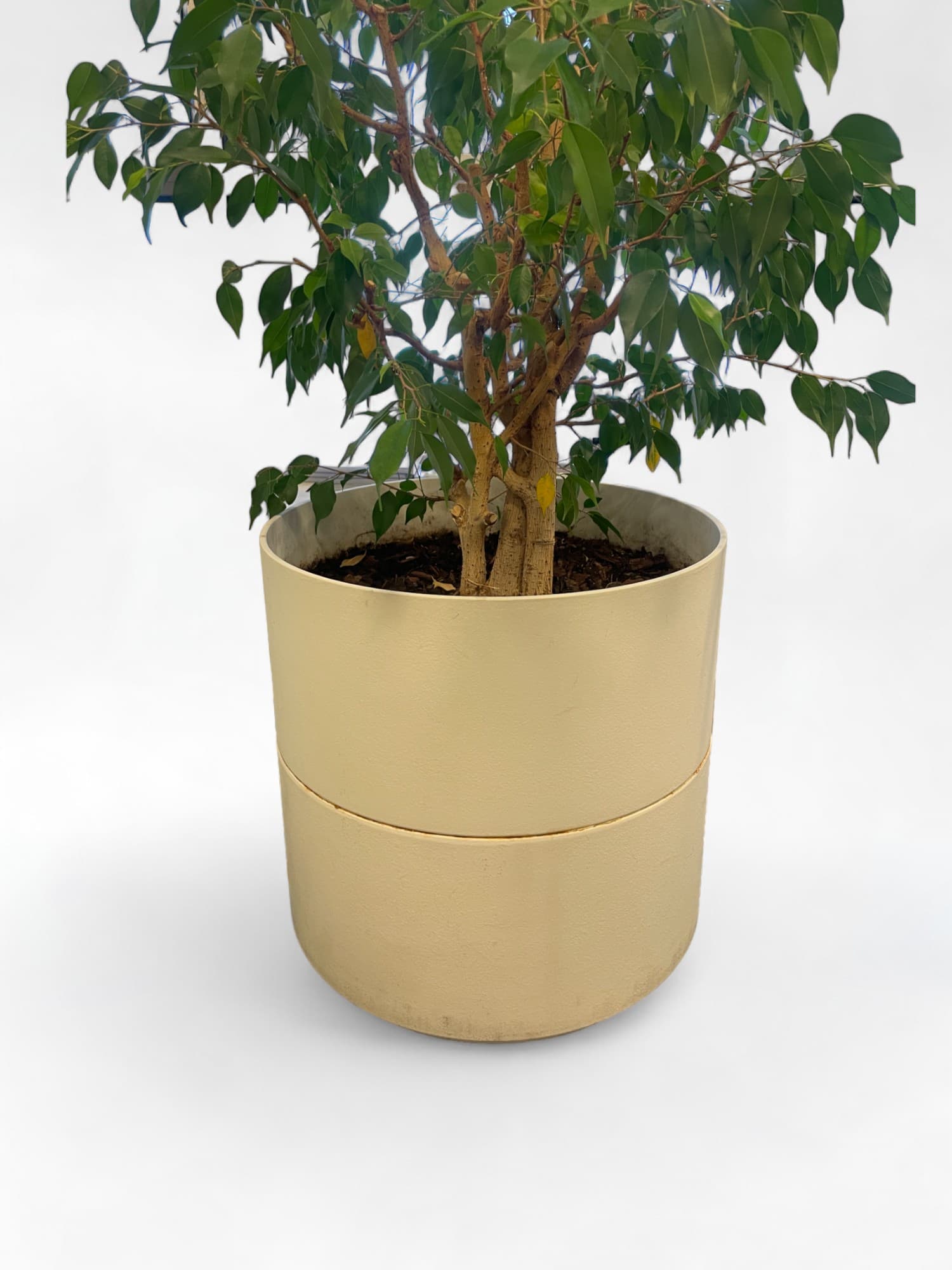 White Plastic Planter Pot-1