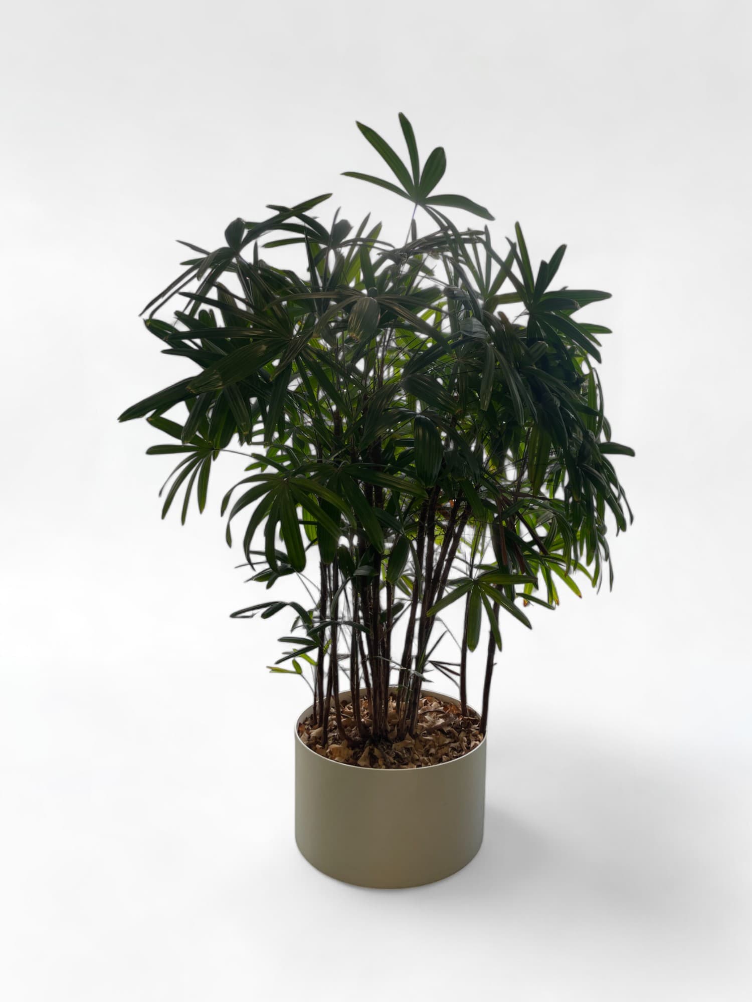 White Plastic Planter-0