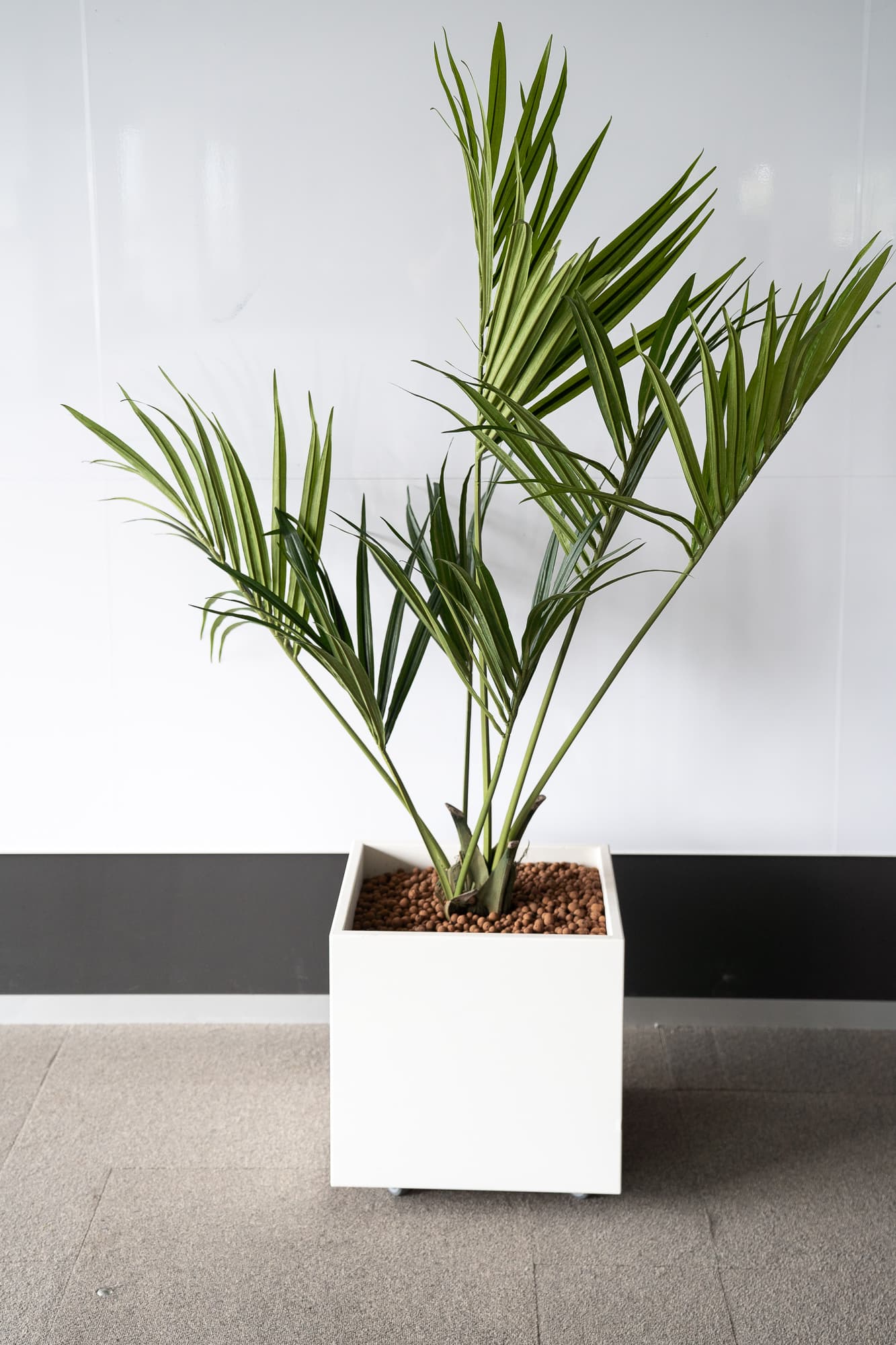 Fake square plants 55cm on wheels - Palm trees-1