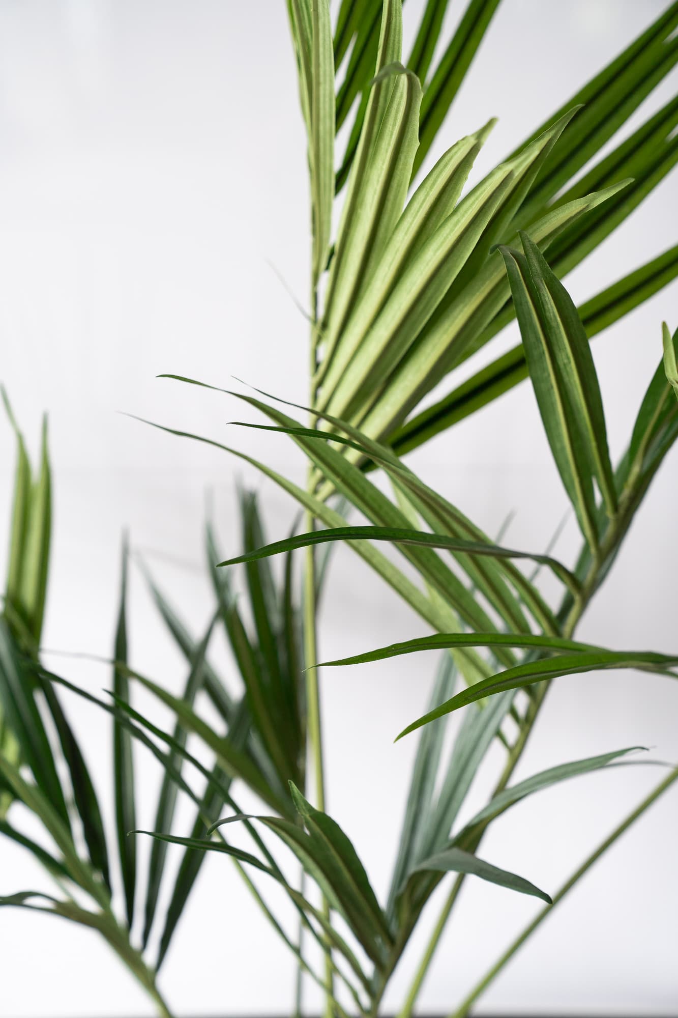 Fake square plants 55cm on wheels - Palm trees-2