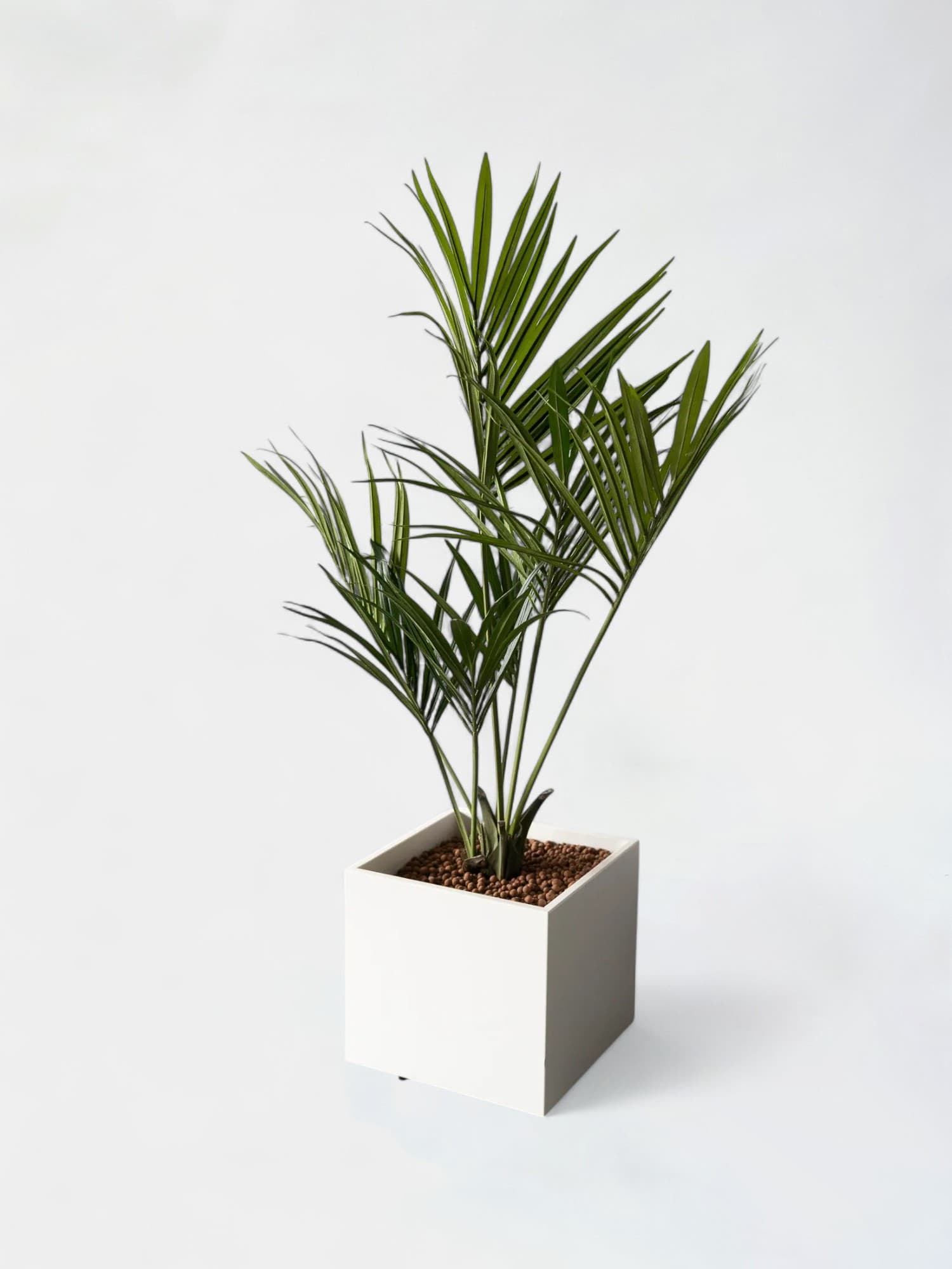 Fake square plants 55cm on wheels - Palm trees-0