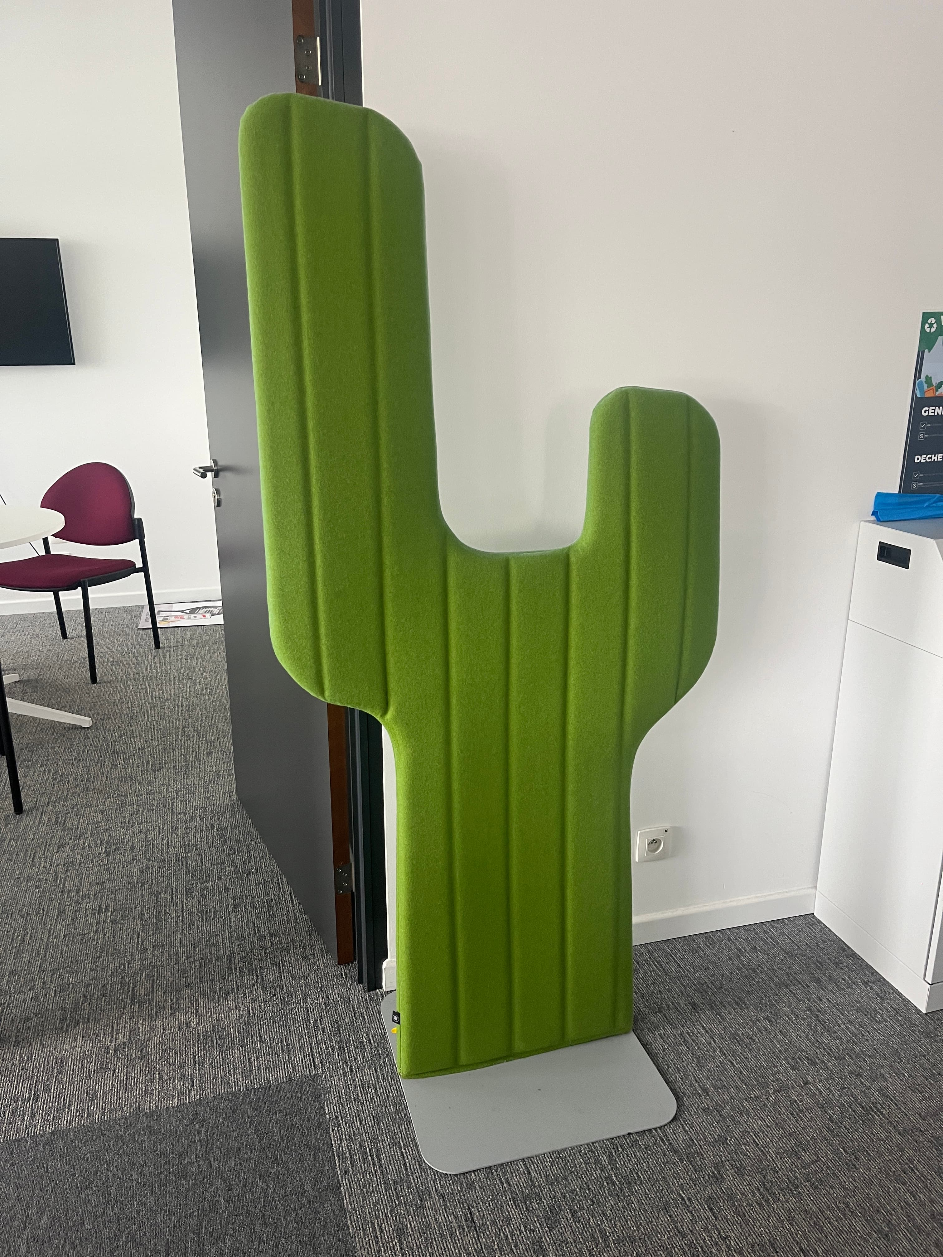 Buzzi Space Green cactus accoustic-1