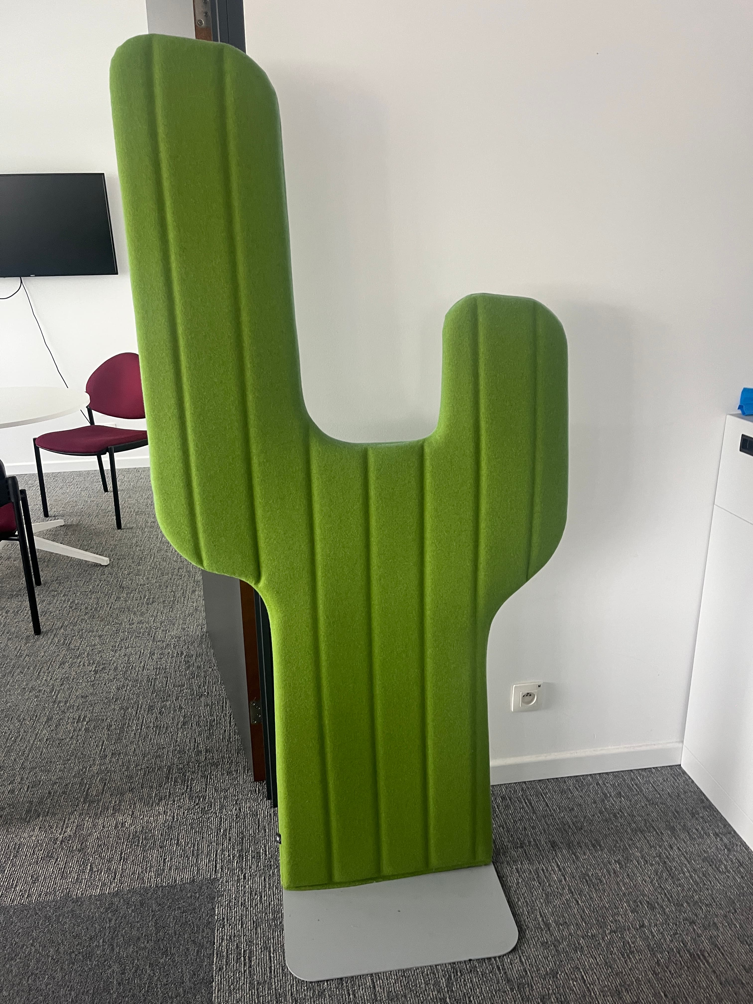 Buzzi Space Green cactus accoustic-2