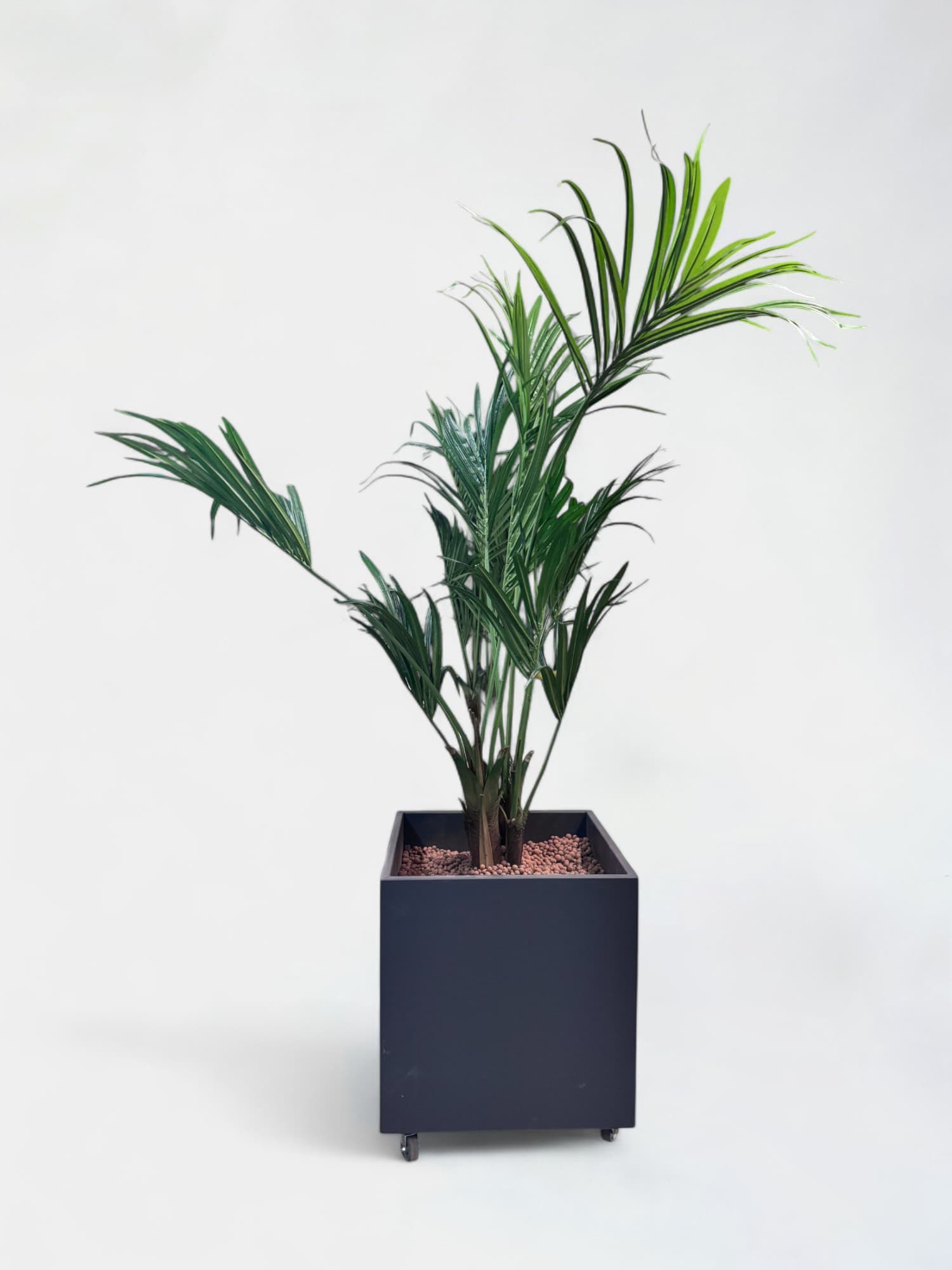 Fausse plante dans un pot carré gris foncé sur roulettes