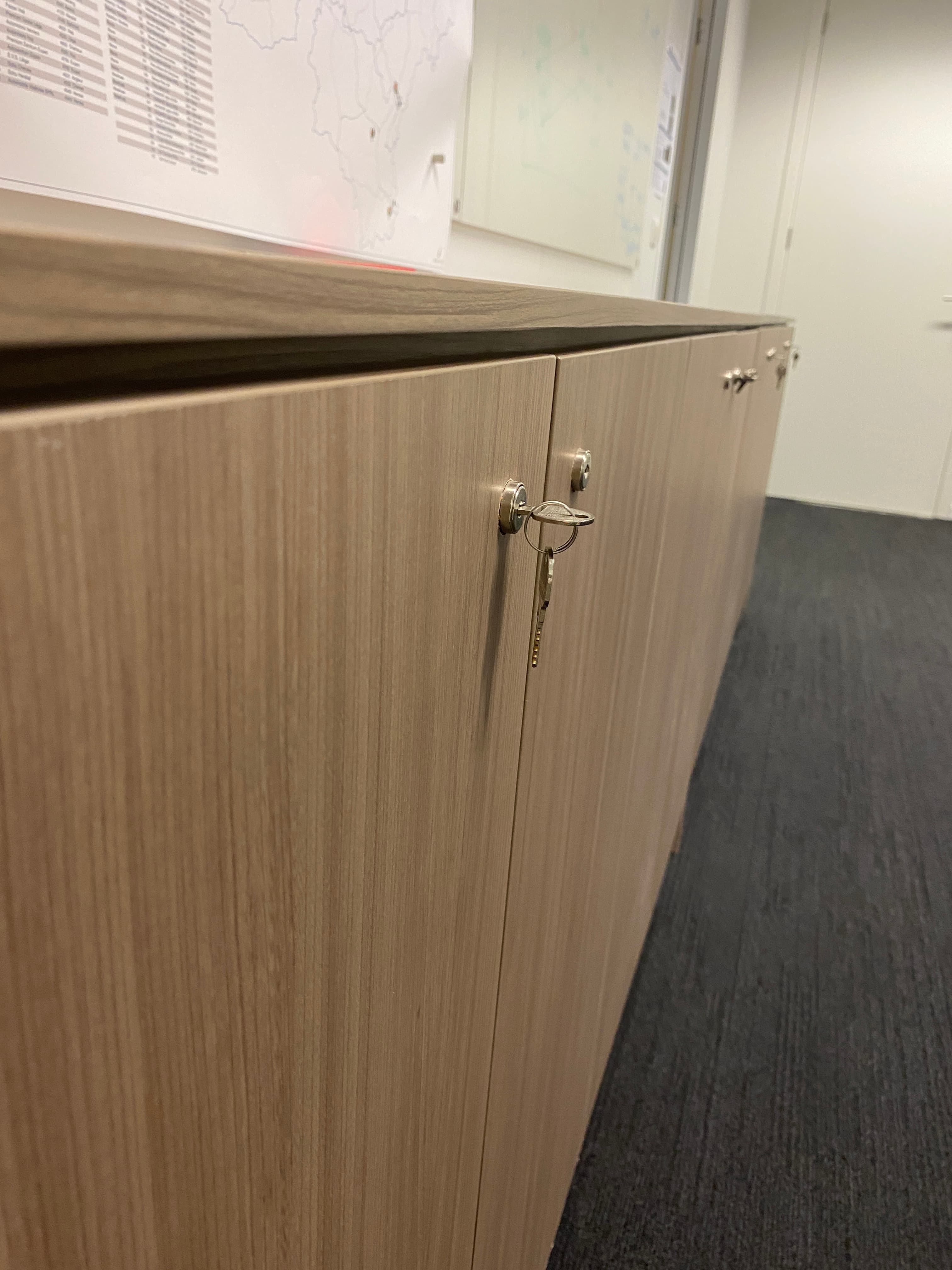 4 doors Wood storage with keys-3